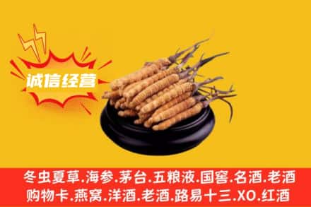双鸭山友谊县回收冬虫夏草